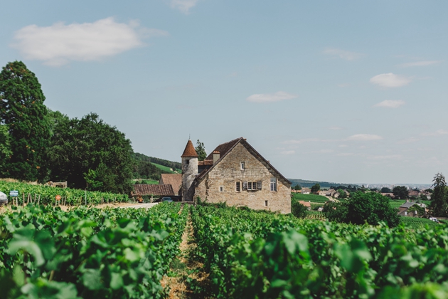 （Domaine Joliet Fixin 1er Cru 喬伊萊特酒莊菲克桑村一級(jí)獨(dú)占園 受訪者供圖）